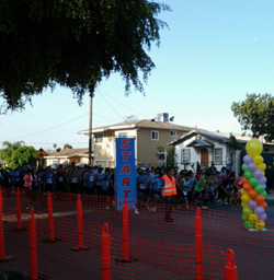 NutrishopMP - 5k Run for Peace NutrishopMP - 5k Run for Peace